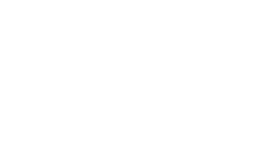 Stade Live Logo